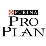 Pro Plan