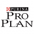 Pro Plan